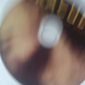 Dracula Wildhorn Rare 3songs by star Melissa  Errico