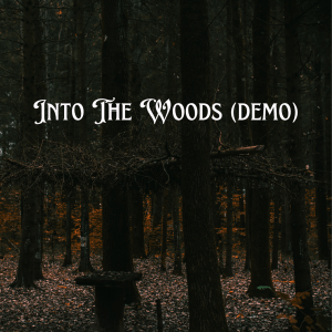 Into the woods 6 song studio demo and 4 live out of town cdr